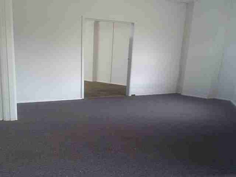 17 Carrington Road, Marrickville NSW 2204