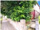 131 Warren Road, Marrickville NSW 2204