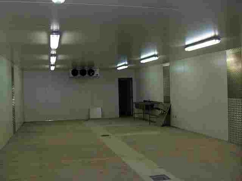 ground/12 Shirlow St, Marrickville NSW 2204