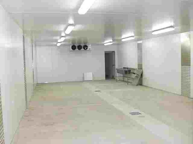 ground/12 Shirlow St, Marrickville NSW 2204