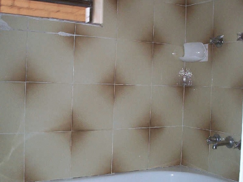 1/171 Marrickville Rd, Marrickville NSW 2204