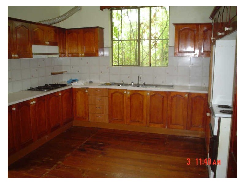 19 Greenbank Street, Marrickville NSW 2204