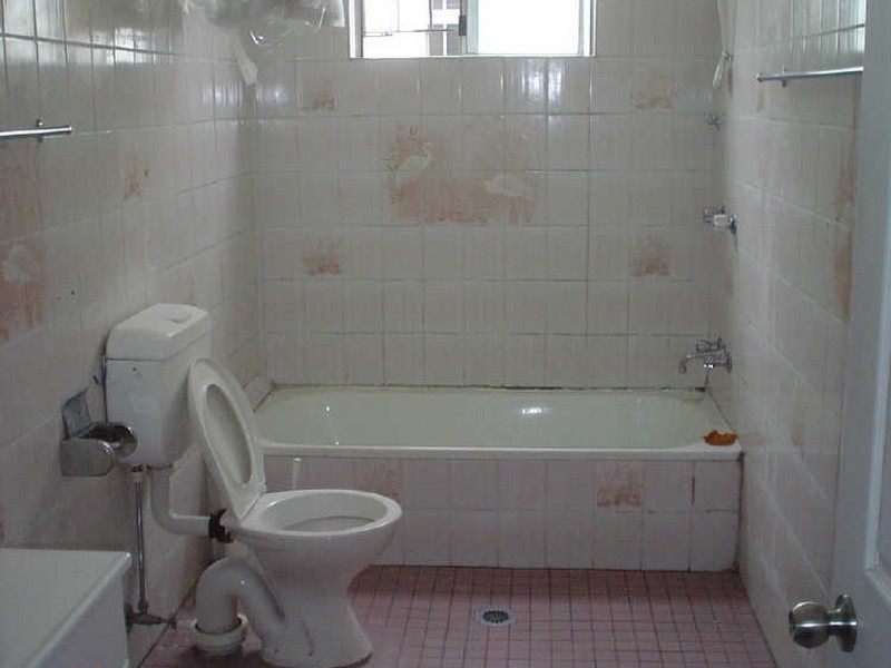 19 Greenbank Street, Marrickville NSW 2204