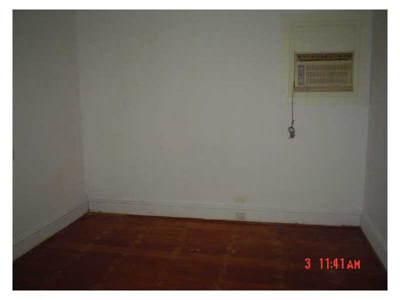 19 Greenbank Street, Marrickville NSW 2204