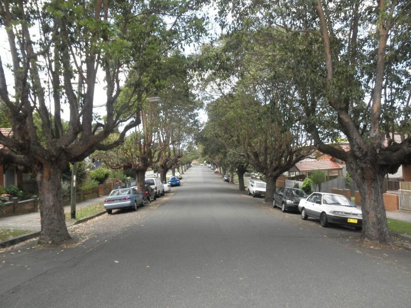 16 Ness Avenue, Dulwich Hill NSW 2203