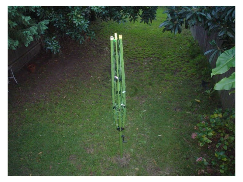 28 George Street, Marrickville NSW 2204