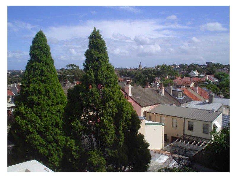 23/77 Cavendish Street, Stanmore NSW 2048