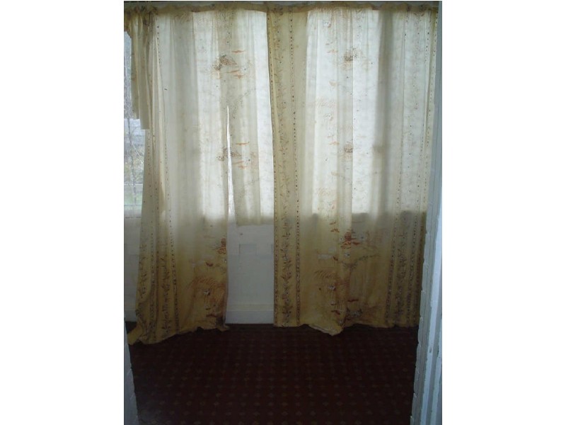 2A Charlotte Avenue, Marrickville NSW 2204