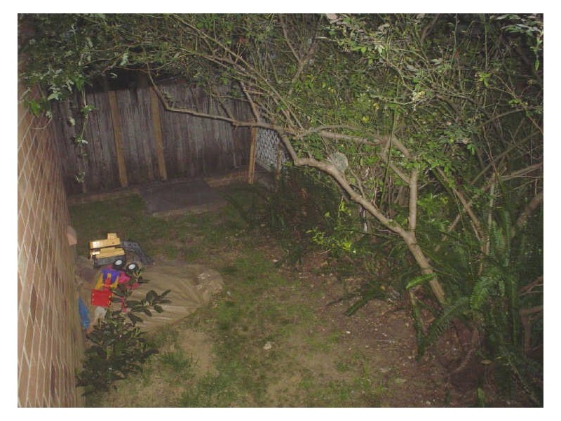 5/18a Ewart Street, Marrickville NSW 2204