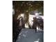 113 Parramatta Road, Annandale NSW 2038