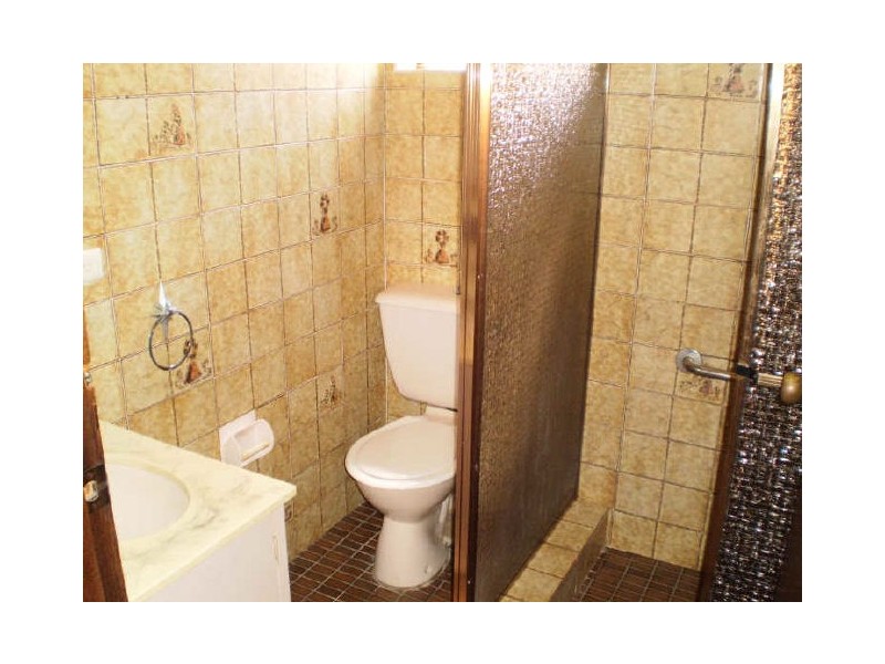 10  Shakespeare St, Campsie NSW 2194