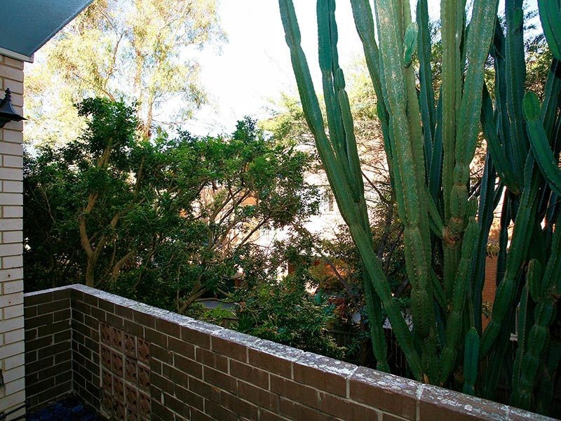 1/47 Cobar Street, Dulwich Hill NSW 2203