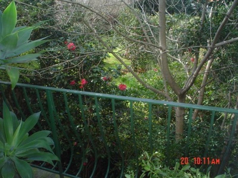 9/29 Pine Street, Marrickville NSW 2204