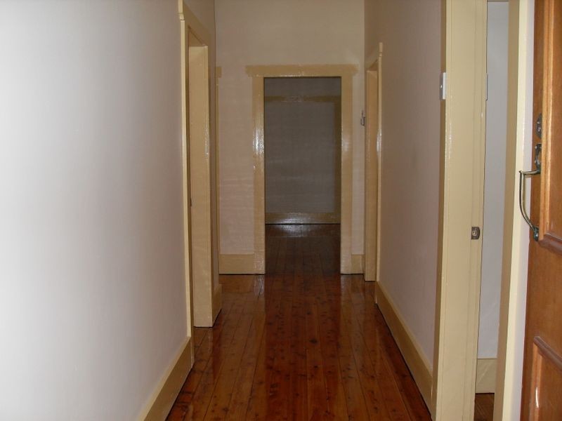 49 Wemyss Street, Marrickville NSW 2204