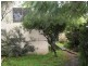 29 Frampton Avenue, Marrickville NSW 2204