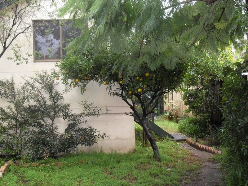 29 Frampton Avenue, Marrickville NSW 2204