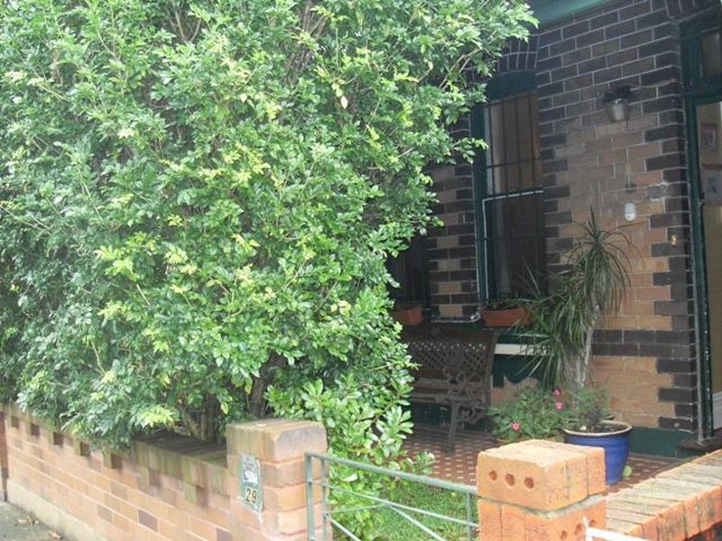 29 Frampton Avenue, Marrickville NSW 2204