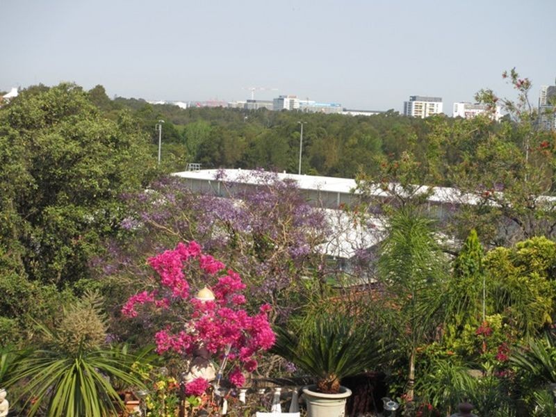 372A Livingstone Road, Marrickville NSW 2204