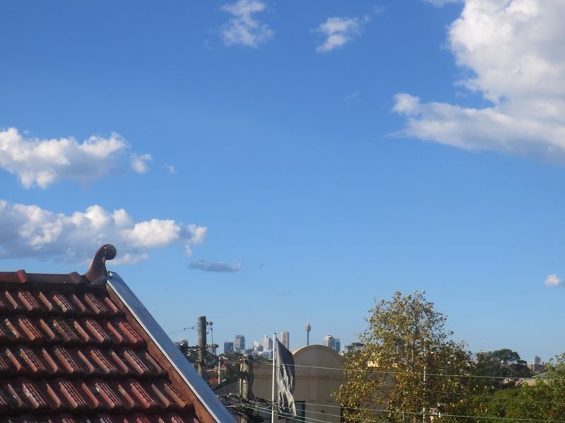 81 Petersham Road, Marrickville NSW 2204