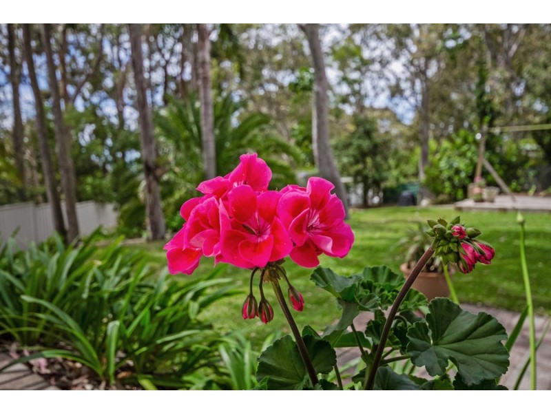 20 Vista Parade, Belmont NSW 2280