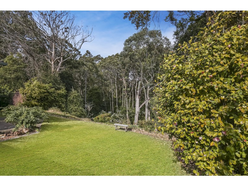 54 Park Street, Charlestown NSW 2290