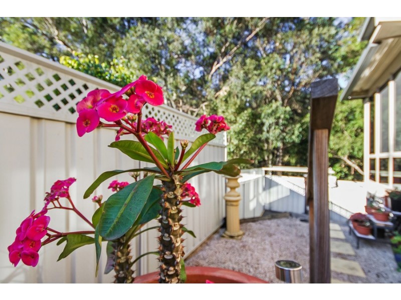 27 Seafarer Close, Belmont NSW 2280