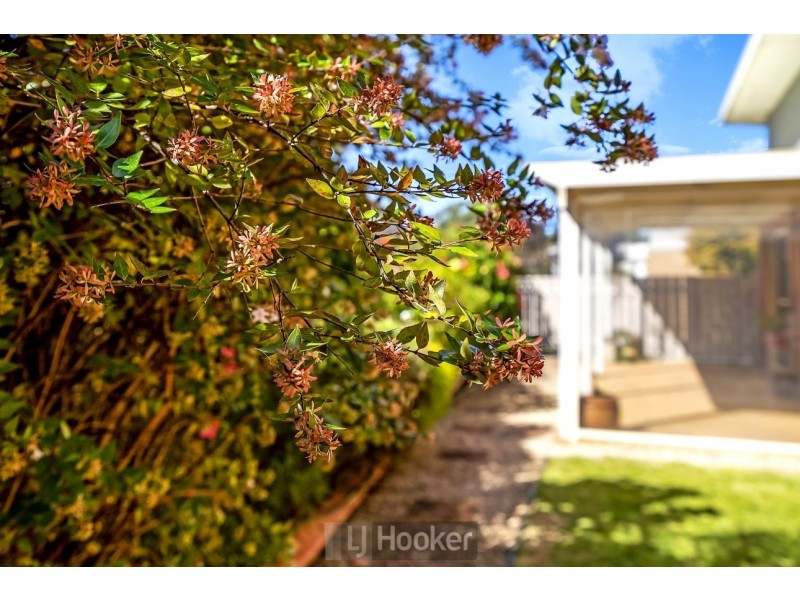 22 Phoenix Drive, Warners Bay NSW 2282
