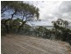 264 Dobell Dr, Wangi Wangi NSW 2267