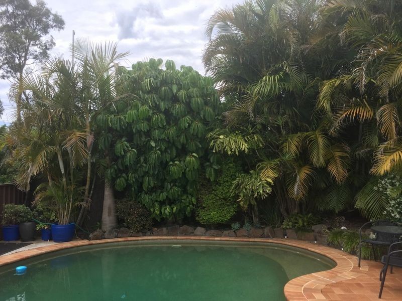 4a Akora Street, Toronto NSW 2283