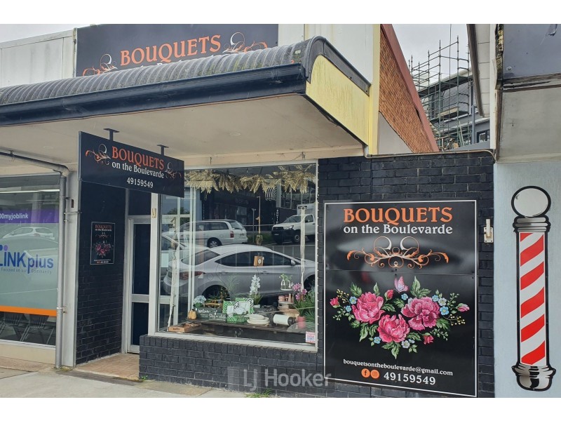 19 The Boulevarde, Toronto NSW 2283