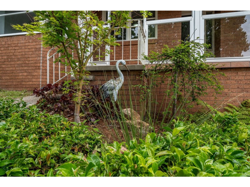 3 Nedlands Street, Rankin Park NSW 2287