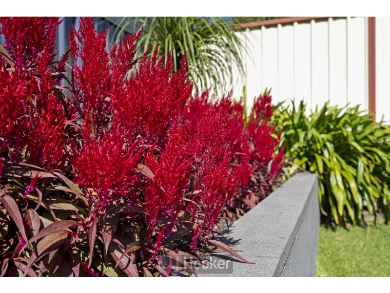 16 Connaught Road, Valentine NSW 2280