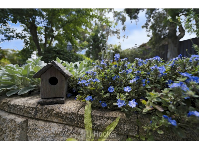 4 Tyrrells Close, Eleebana NSW 2282