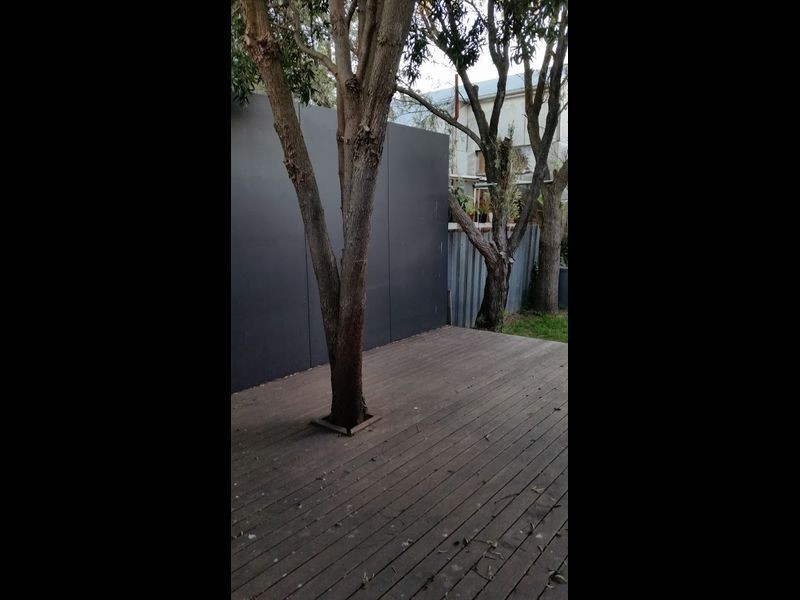 50 Robert Street, Wickham NSW 2293