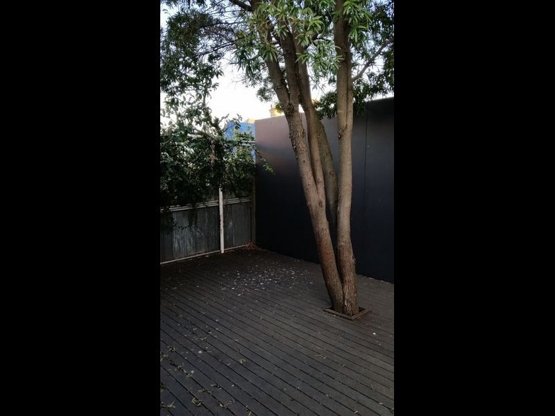 50 Robert Street, Wickham NSW 2293