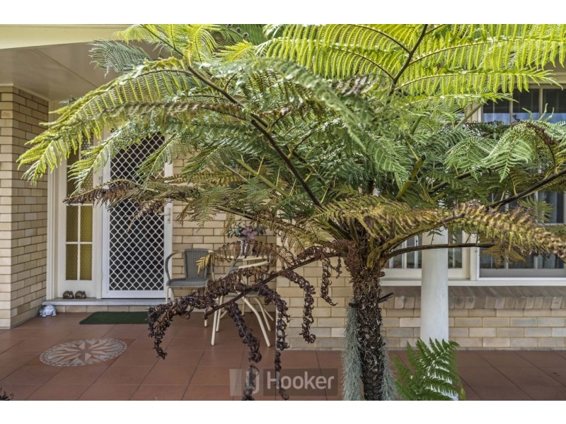 11 Keal Street, Charlestown NSW 2290