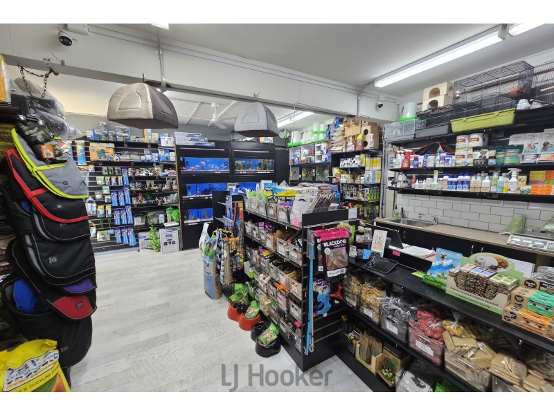 6/108 The Boulevarde, Toronto NSW 2283