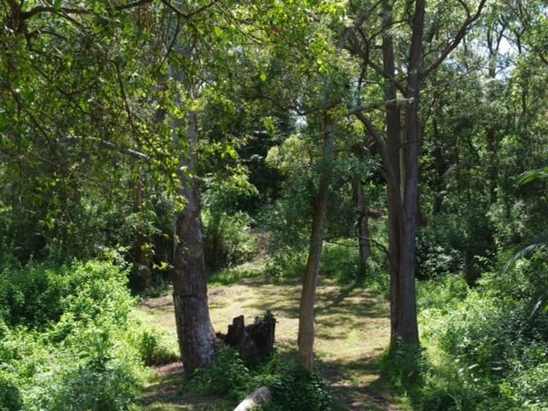 4 Coronation Street, Warners Bay NSW 2282