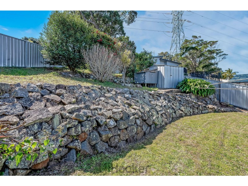 41 Roslyn Avenue, Charlestown NSW 2290