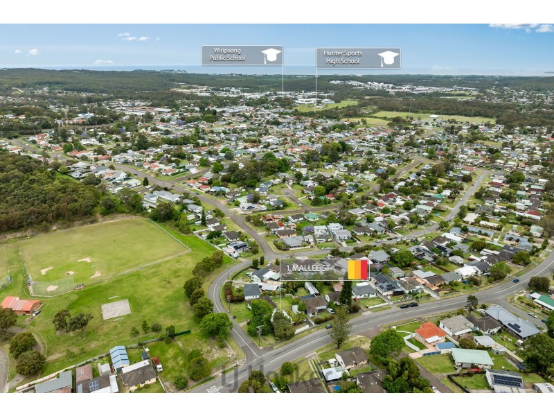1 Mallee Street, Gateshead NSW 2290