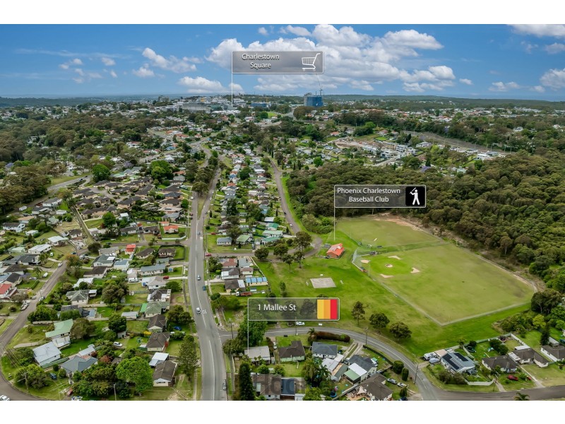 1 Mallee Street, Gateshead NSW 2290