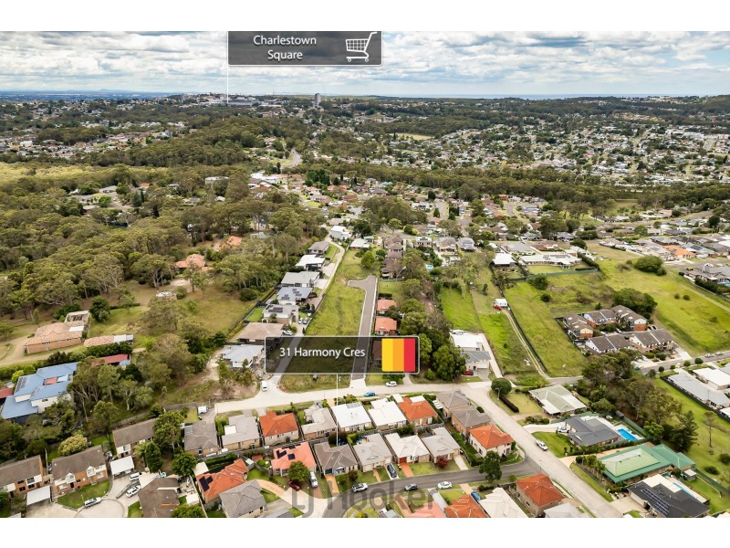 31 Harmony Crescent, Mount Hutton NSW 2290