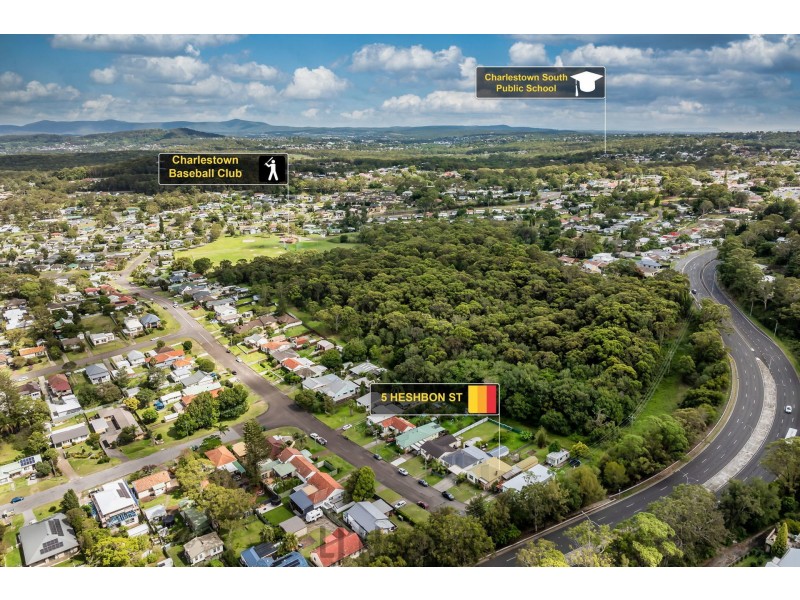 5 Heshbon Street, Gateshead NSW 2290