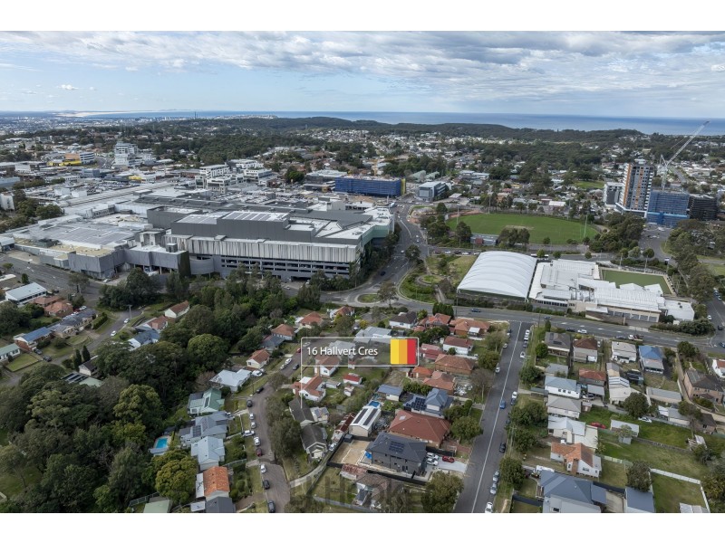 16 Hallvert Crescent, Charlestown NSW 2290