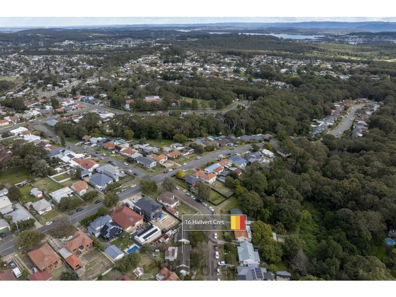 16 Hallvert Crescent, Charlestown NSW 2290