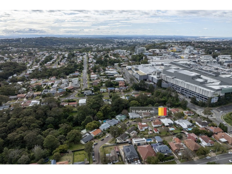 16 Hallvert Crescent, Charlestown NSW 2290