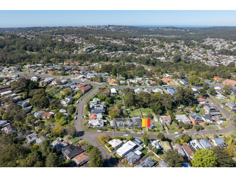 12 Alice Street, Cardiff NSW 2285