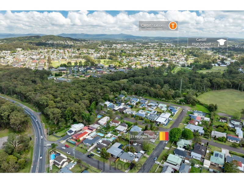 31 Higham Road, Hillsborough NSW 2290