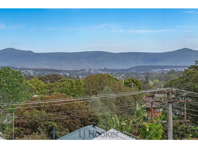 10 Joy Street, Cardiff NSW 2285