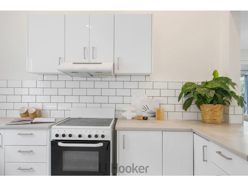 6 Wilkinson Street, Mayfield NSW 2304